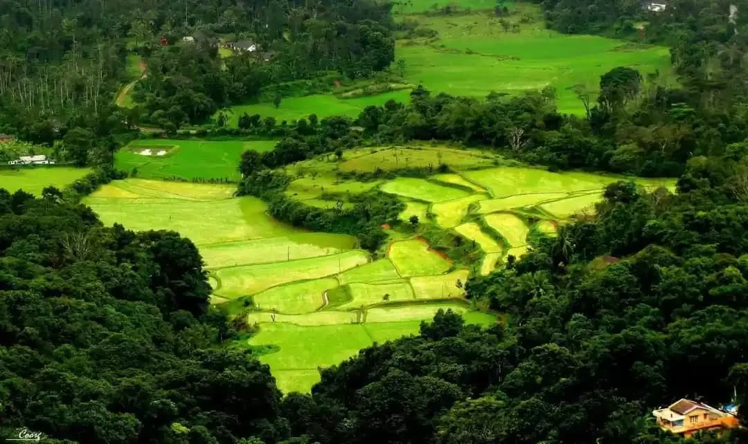10 Things to Do in Coorg in 2026 That Most Tourists Miss