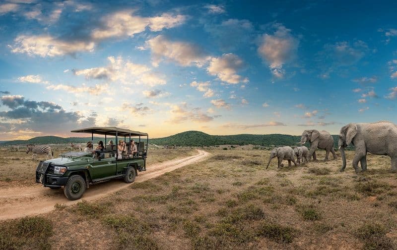 10 Best Things to Do in South Africa in 2026 (Bucket List Experiences)
