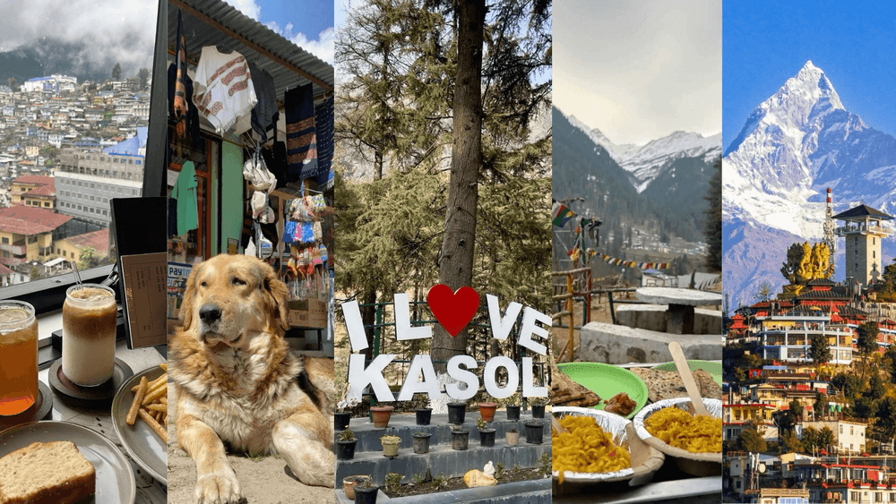 10 Best Cafes in Kasol You Must Visit in 2026