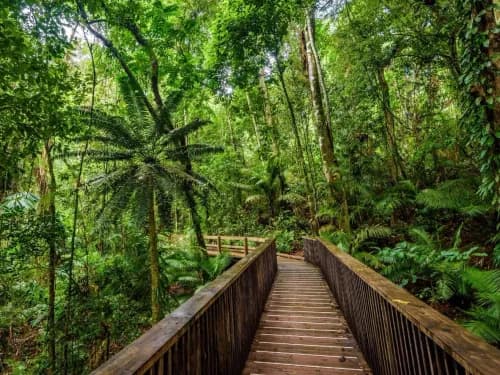 Australia or Canada: Which Country Is Better for Nature Lovers?