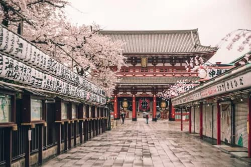 8 Common Mistakes First-Time Travelers Make in Japan