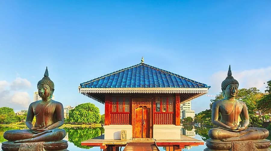 designed-by-the-country (1)