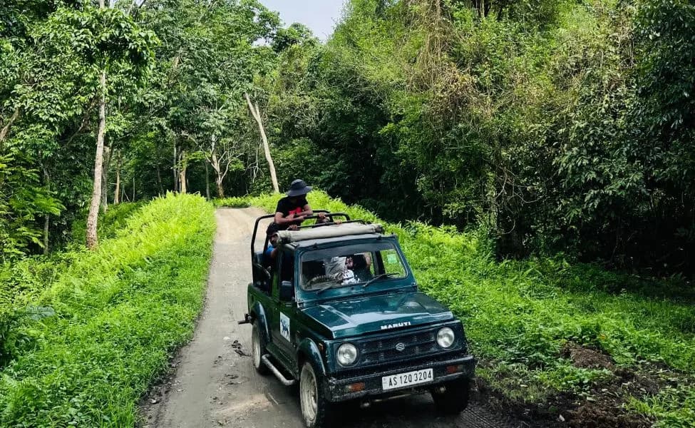 jeep-safari-kaziranga-1-unsplash-gaimg