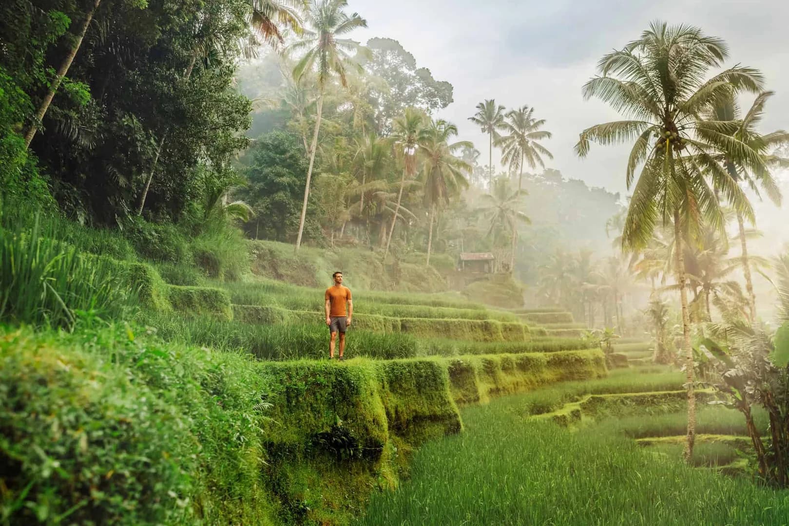 Bali Bliss: Beaches & Ubud Escape - View 2