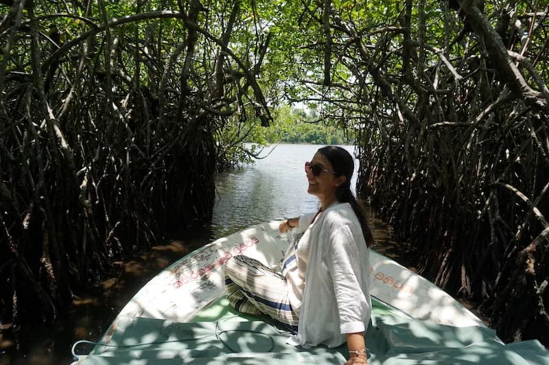 Highlights of Sri Lanka - View 3