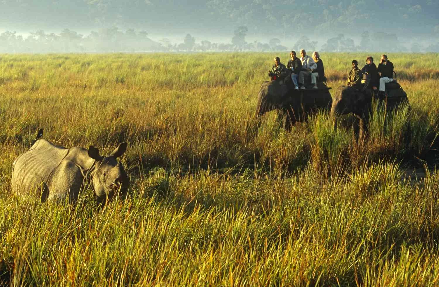 Mystic Meghalaya & Wild Kaziranga Escape - View 2