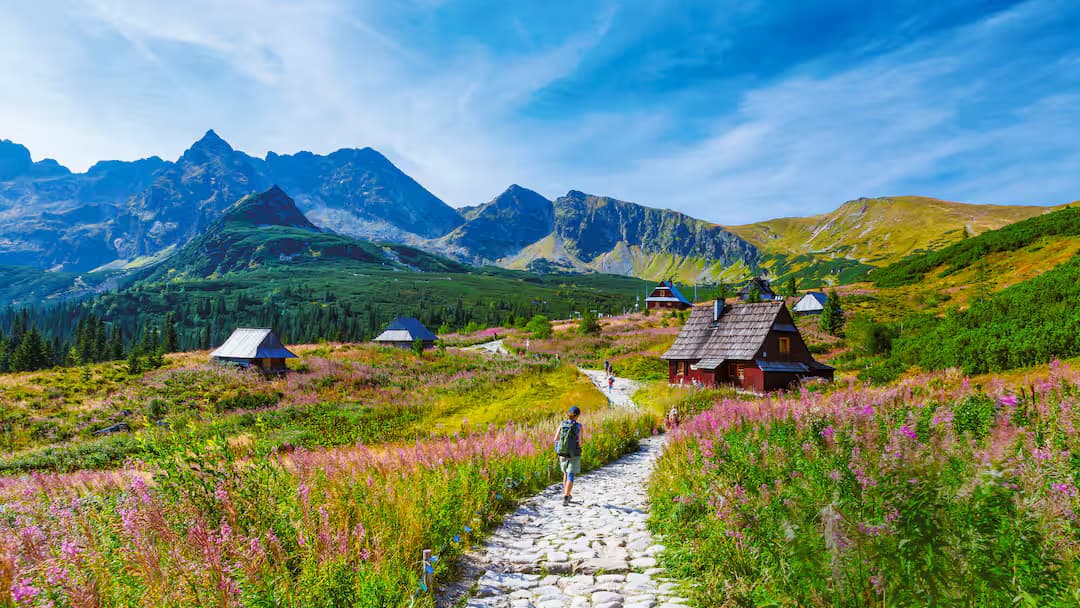 Poland Spring Serenity - View 2