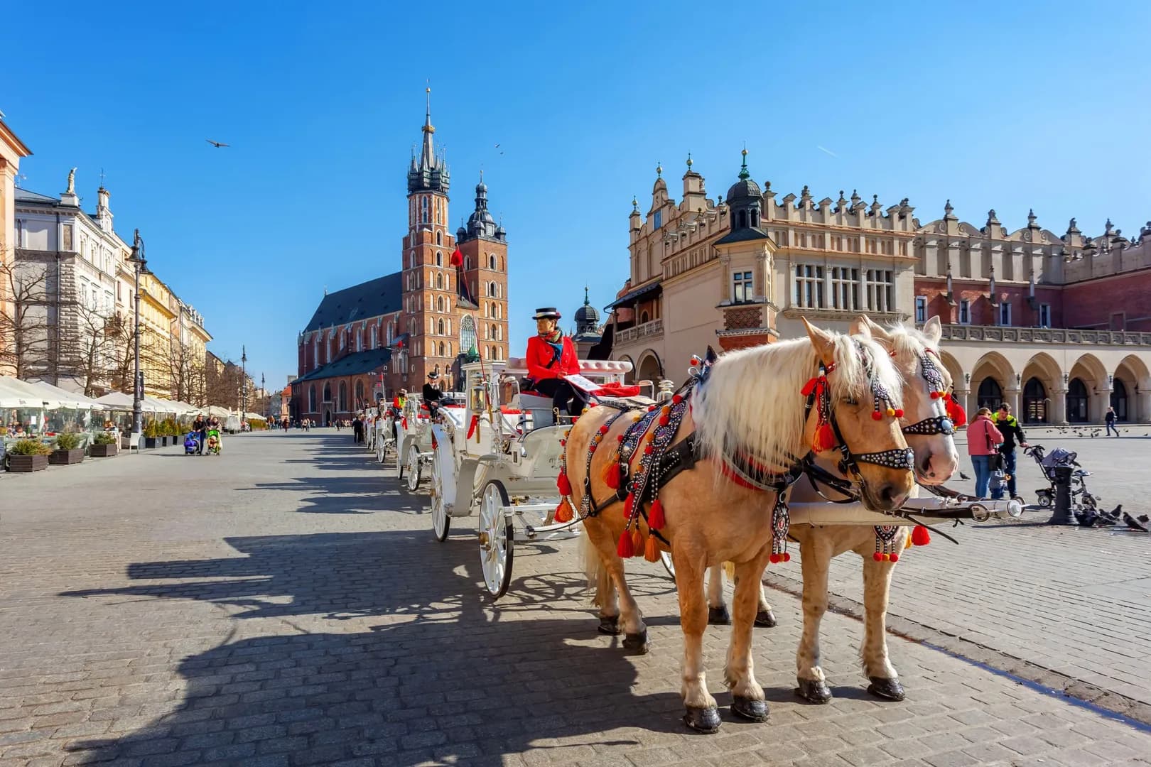 Poland Spring Serenity - View 4