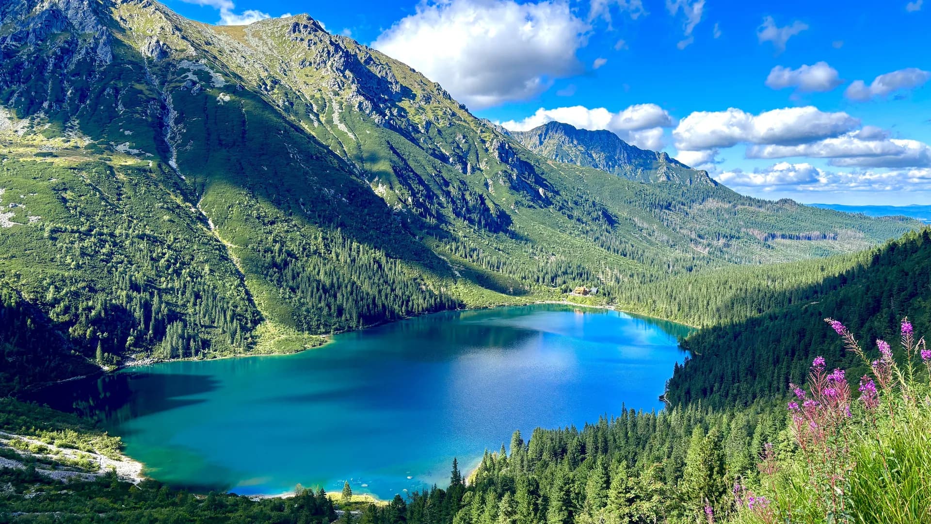 Poland Spring Serenity - View 3