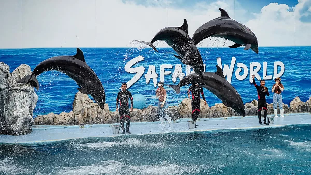 Ultimate Thailand Getaway – Pattaya & Bangkok - View 4