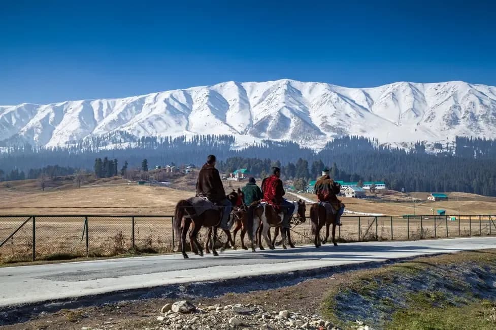 Ultimate Travel Guide to Gulmarg - Best Time & Things to Do