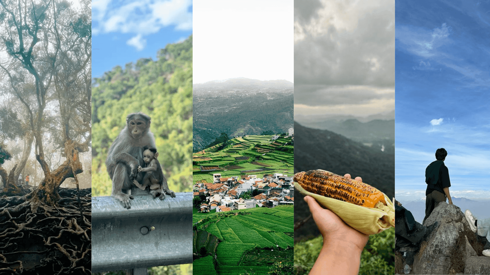 Top 15 Hidden Places to Visit in Kodaikanal in 2026