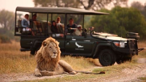 10 Best Things to Do in South Africa in 2026 (Bucket List Experiences)