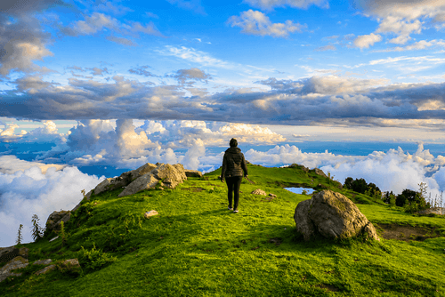 10 Best Monsoon Destinations in India to Stand Above the Clouds (2026 Guide)